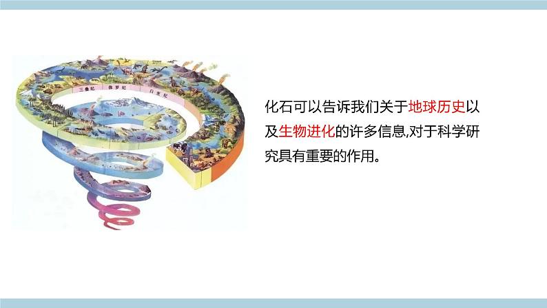 新青岛版六上科学 1.3.灭《绝的生物》课件03