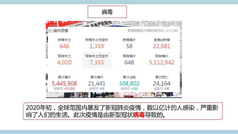 新青岛版六上科学 2.4.细《菌和病毒》课件08