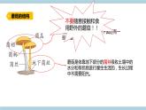 新青岛版六上科学 2.5.蘑《菇和木耳》课件