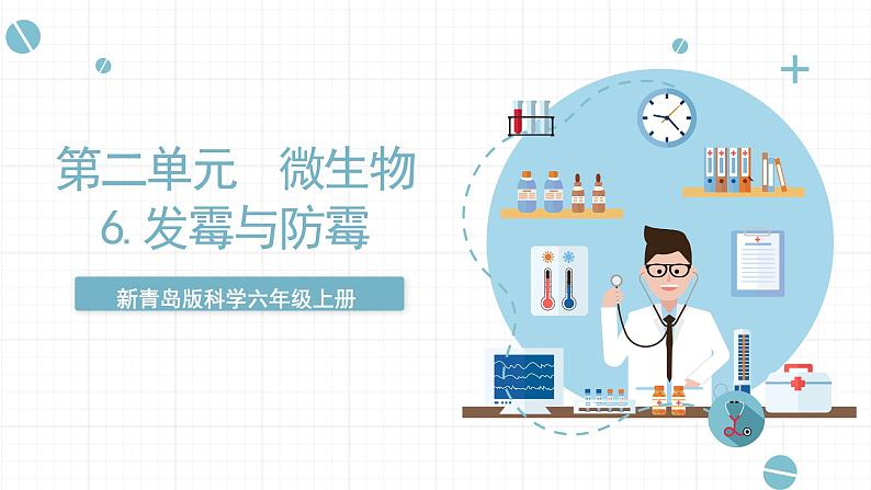 新青岛版六上科学 2.6.发《霉与防霉》课件01