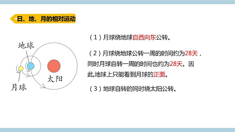 新青岛版科学六年级上册 4.13《.月球、地球和太阳的相对运动（含练习）》课件第5页