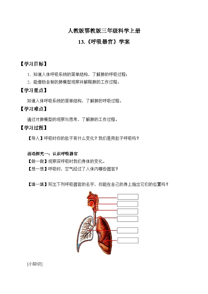 人教版鄂教版科学三年级上册第四单元13.《呼吸器官》教案+学案+课件01