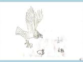 人教版鄂教版四年级科学上册第一单元1.《鸟和哺乳动物》  课件+教案+学案