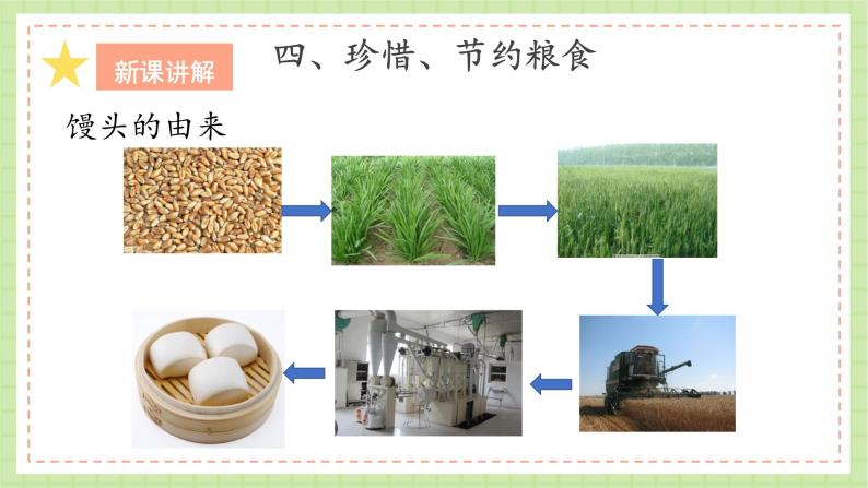 人教鄂教版科学三年级上册1《多种多样的食物》课件+教案+练习07