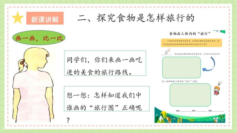 人教鄂教版科学三年级上册3《食物的消化》课件+教案+练习03