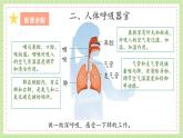 人教鄂教版科学三年级上册13《呼吸器官》课件+教案