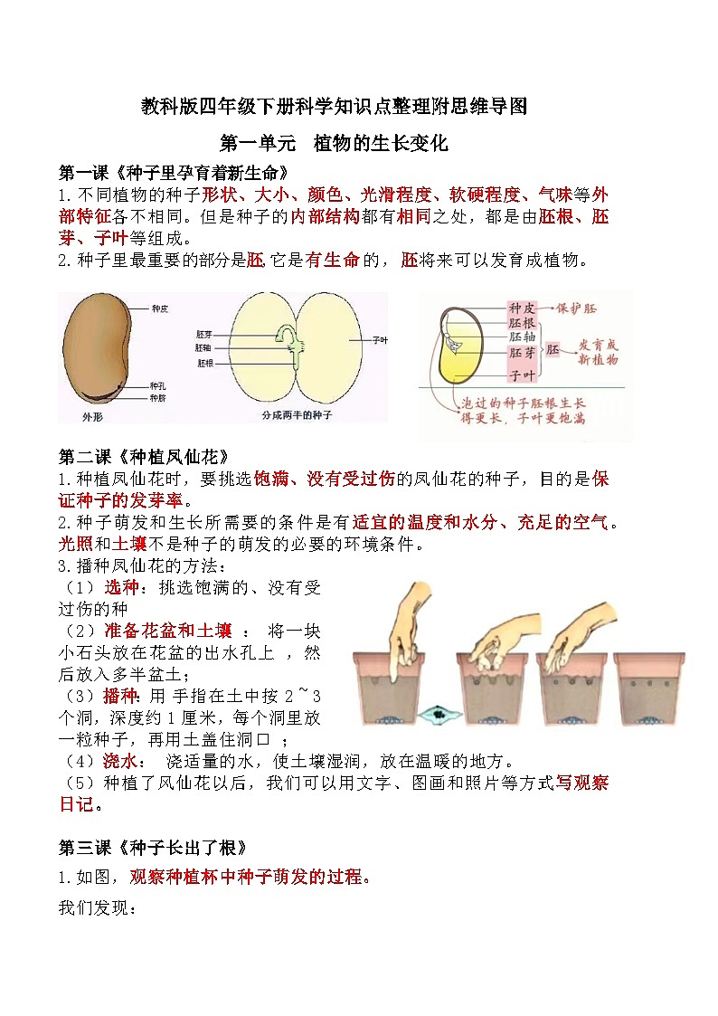 【单元复习讲义】教科版科学四年级下册-第一单元 植物的生长变化 讲义（知识点总结+思维导图）第1页