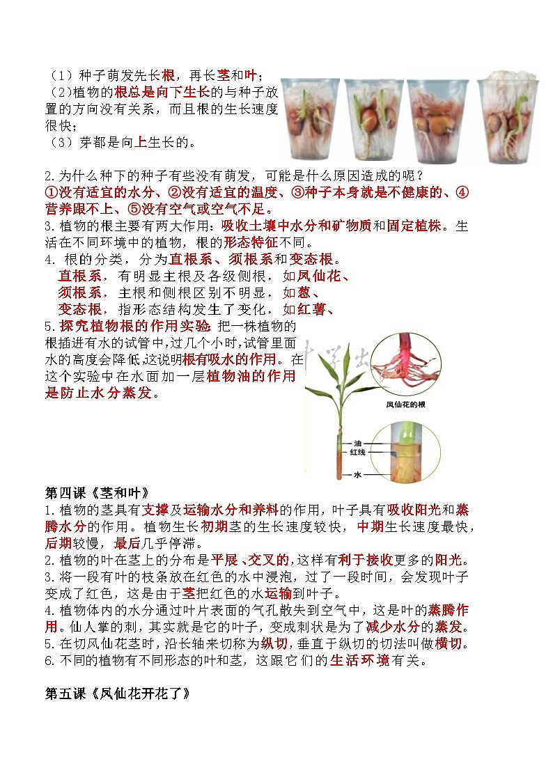 【单元复习讲义】教科版科学四年级下册-第一单元 植物的生长变化 讲义（知识点总结+思维导图）第2页