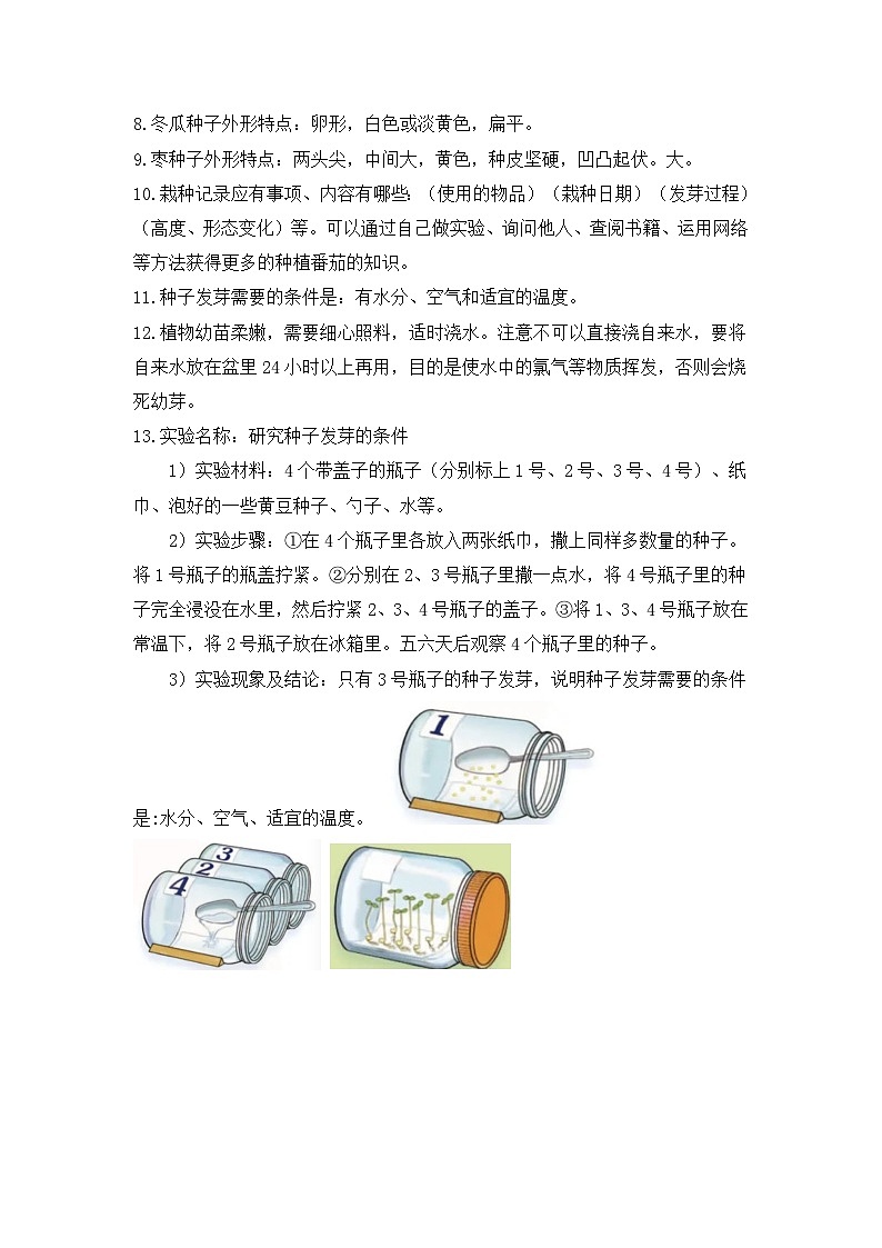 【单元复习讲义】新苏教版科学三年级下册-第一单元《植物的一生》讲义（知识点总结+思维导图）02