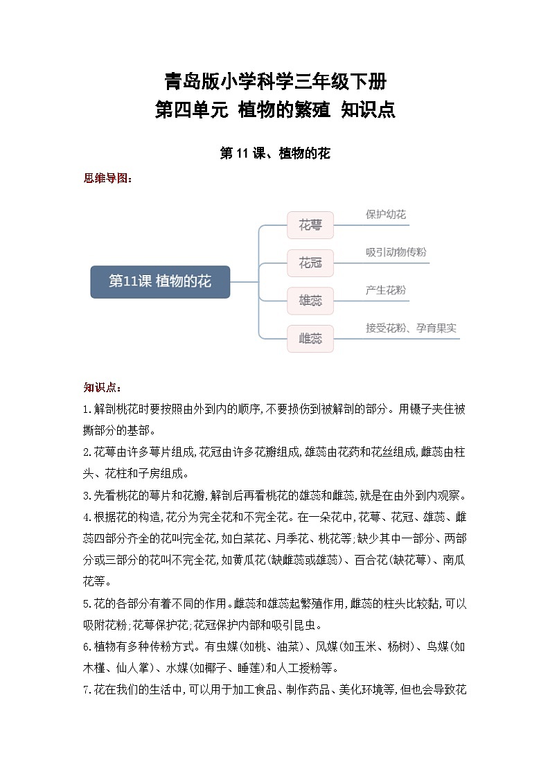 【单元复习讲义】青岛版科学三年级下册-第四单元《植物的繁殖》讲义（知识点总结+思维导图）01