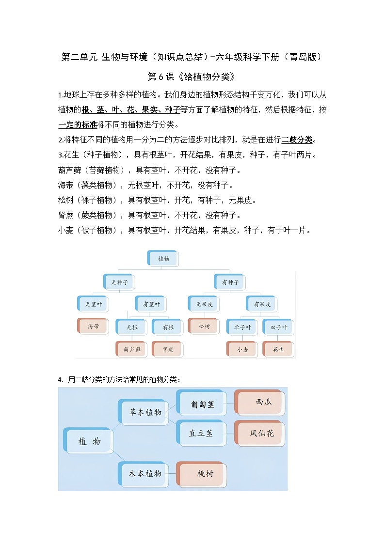 第二单元 生物与环境（知识点总结）-六年级科学下册（青岛版）01
