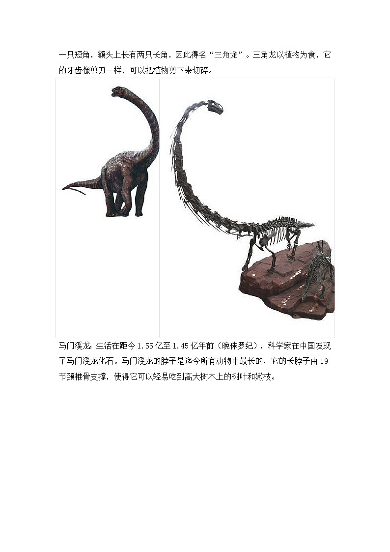 【单元重难点讲义】新苏教版科学六年级上册-第三单元《化石的奥秘》 讲义（知识点整理+习题解答）03