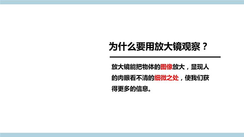 冀人版科学一年级上册 1.3《放大镜》课件+素材04