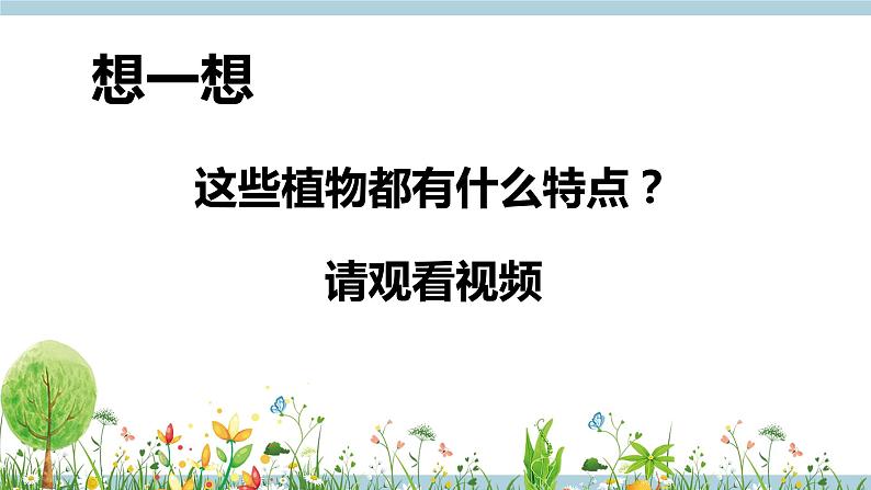 冀人版科学一年级上册 2.5《认识植物》课件+素材06