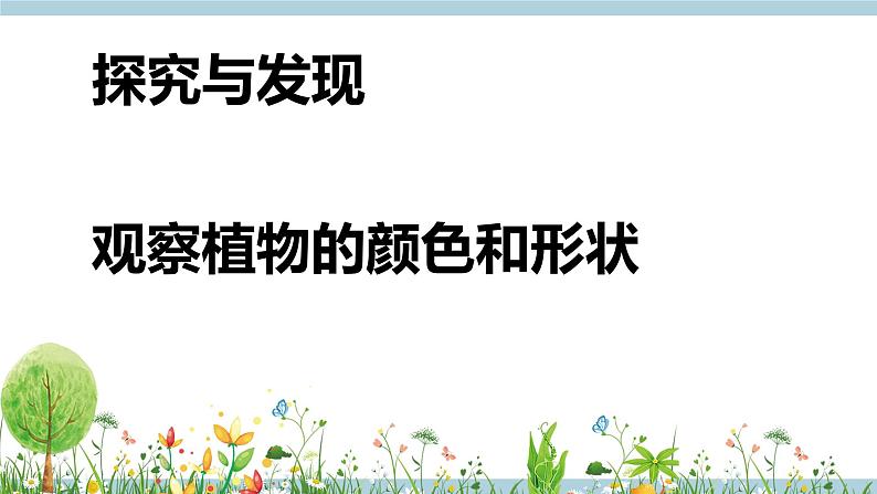 冀人版科学一年级上册 2.5《认识植物》课件+素材08