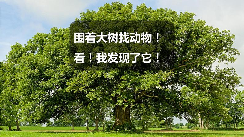 冀人版科学一年级上册 3.7《身边的动物》课件+素材08