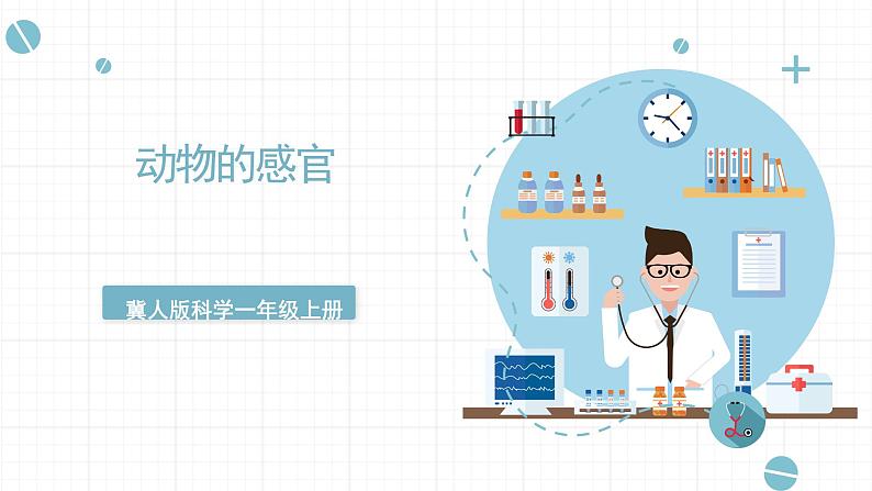 冀人版科学一年级上册 3.10《动物的感官》课件第1页