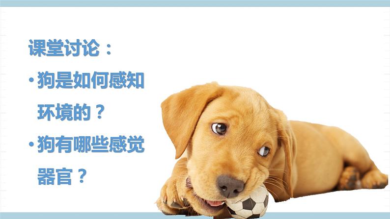 冀人版科学一年级上册 3.10《动物的感官》课件第3页