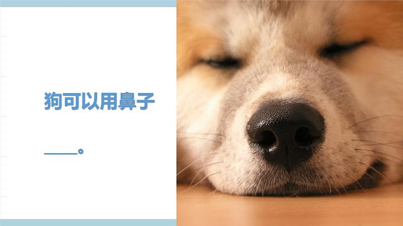 冀人版科学一年级上册 3.10《动物的感官》课件第5页