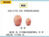 新冀人版科學三年級上冊 3.《測量質(zhì)量》 課件