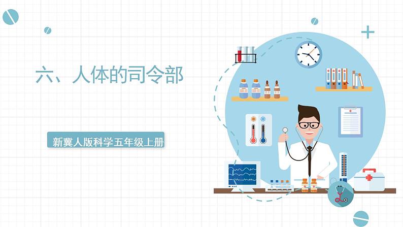 冀人版五上第2单元第6课《人体的司令部》  课件+视频素材01