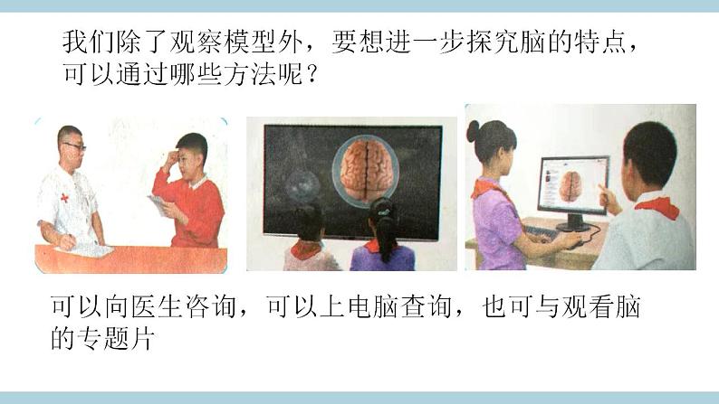 冀人版五上第2单元第6课《人体的司令部》  课件+视频素材05