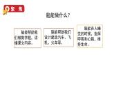 4.4 身體的“總指揮”（課件+音視頻素材）