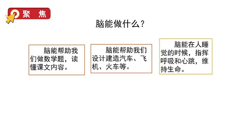 4.4 身体的“总指挥”（课件+音视频素材）05