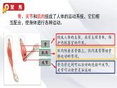 4.2 身体的运动（课件+音视频素材）