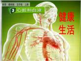 4.3 心臟和血液（課件+音視頻素材）