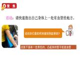4.3 心臟和血液（課件+音視頻素材）