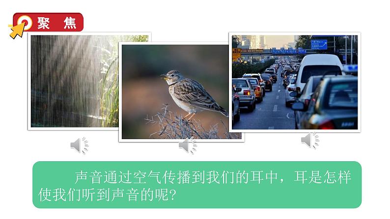 4 我们是怎样听到声音的第3页