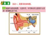 1.4 我們是怎樣聽到聲音的（課件+音視頻素材）