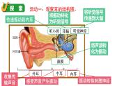 1.4 我們是怎樣聽到聲音的（課件+音視頻素材）