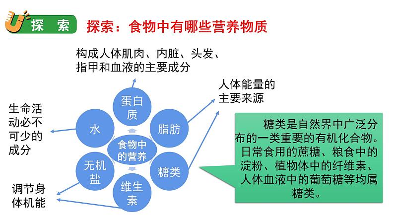 5 食物中的营养第5页