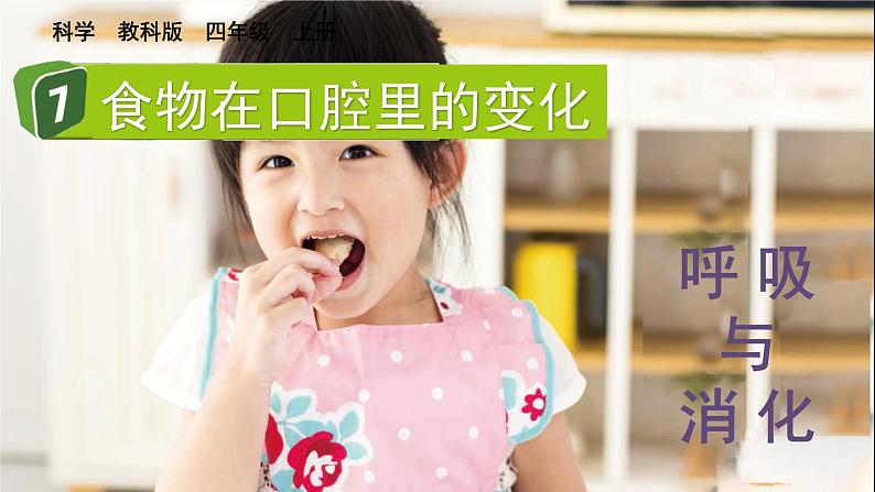 2.7 食物在口腔里的变化（课件+音视频素材）01