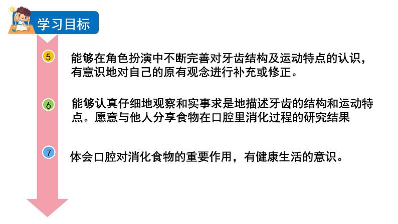 2.7 食物在口腔里的变化（课件+音视频素材）03