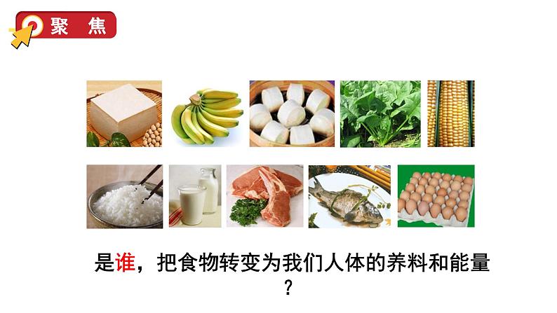 2.7 食物在口腔里的变化（课件+音视频素材）05