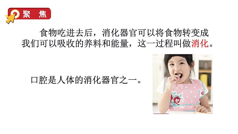 2.7 食物在口腔里的变化（课件+音视频素材）06