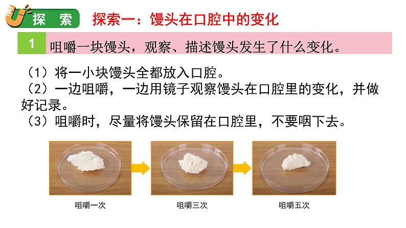 2.7 食物在口腔里的变化（课件+音视频素材）07