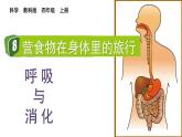 2.8 食物在身體里的旅行（課件+音視頻素材）