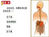 2.8 食物在身體里的旅行（課件+音視頻素材）