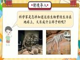 冀人版科学六年级上册 第3课 化石里的古生物（教学课件）