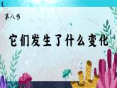 教科版科学三年级上册 第8课 它们发生了什么变化 同步课件+同步练习+同步教案