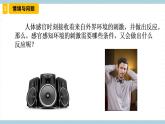 冀人版科学五年级上册 5.《刺激与反应》课件+素材