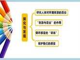 冀人版科学五年级上册 5.《刺激与反应》课件+素材
