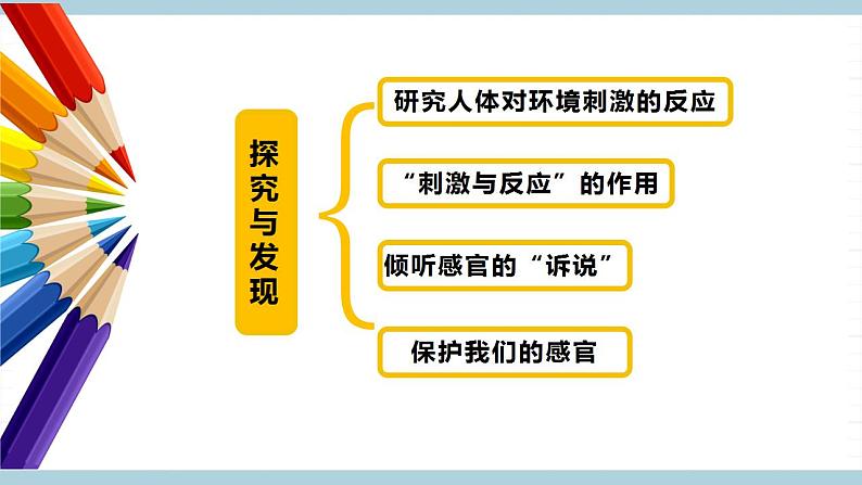 冀人版科学五年级上册 5.《刺激与反应》课件+素材04