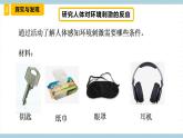 冀人版科学五年级上册 5.《刺激与反应》课件+素材