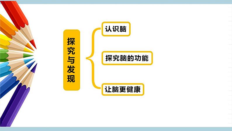 冀人版科学五年级上册 6.《人体的司令部》课件+素材04