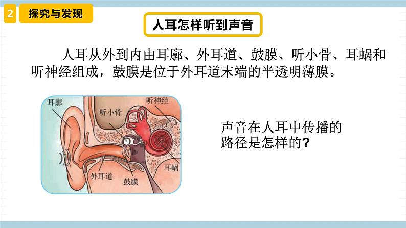 冀人版科学四年级上册 9.《怎样听到声音》课件+素材06